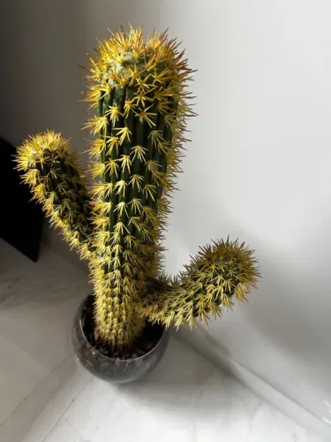 Cactus Artificial com vaso vidro. Muito novo