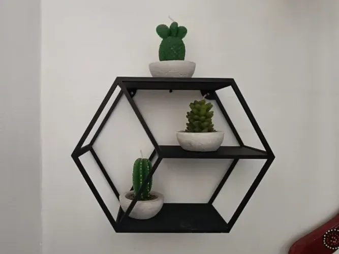 Nicho organizador