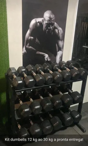 Kit Dumbbells sextavados trx cromados 12kg a 30kg - Pronta Entrega!
