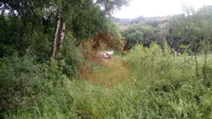 Chácara à venda em Campo Largo/PR