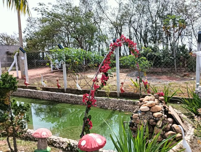 Chácara em Mirassol para finais de semana 