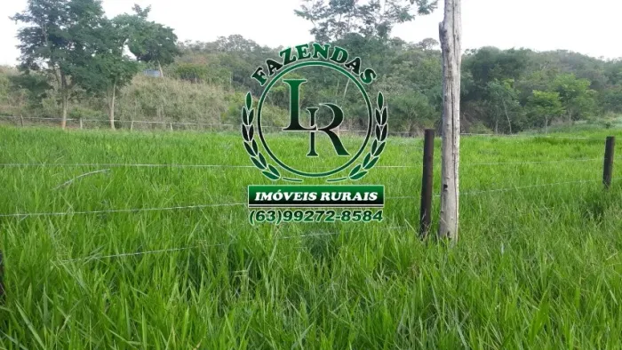 Fazenda / Chácara 13,79 Alqueires  Miracema Tocantins