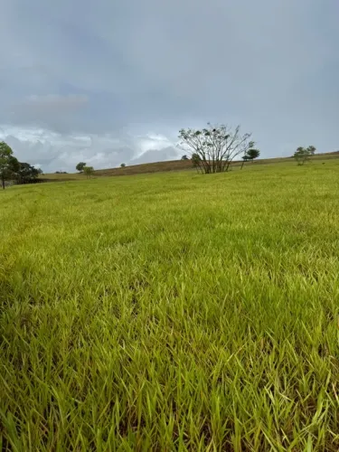 Vendo fazenda em Estância