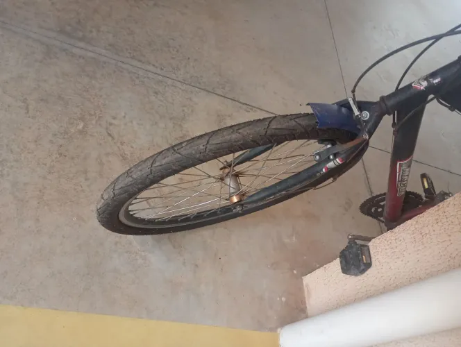 Bicicleta adulto pneus novos