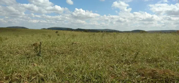 Imóvel para venda tem 20000 metros quadrados em Zona Rural - Cordisburgo - MG