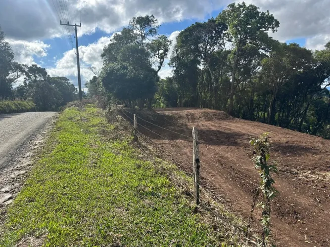 Terreno de 20.000 m² com Vista e Nascente em Campo Alegre