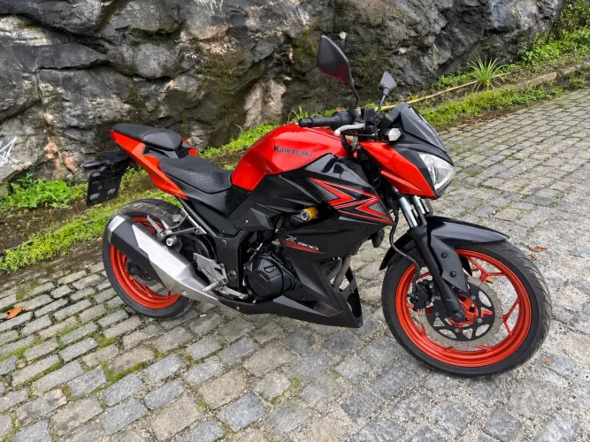 Kawasaki Z 300 2016