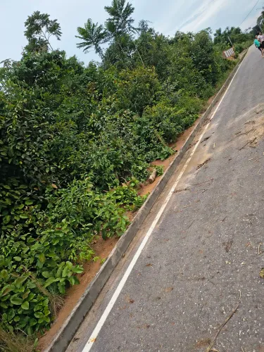 Viva a Tranquilidade da Natureza