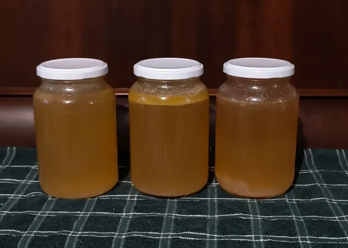 Conserva Caldo Galinha pronta para uso