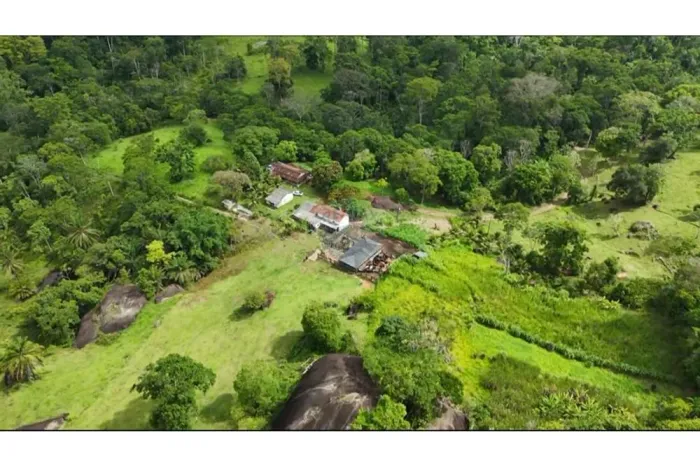 Invista em Fazenda Comercial na Bahia!