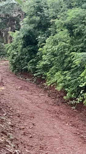 Ótimo terreno  bom acesso em aratuba  só quem realmente interesse 