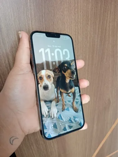 iPhone 13 Pro Max (pega apenas um chip)