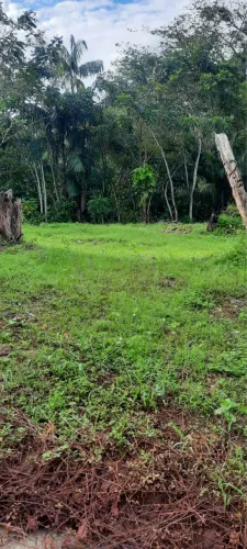 Vendo este terreno a 50 metros do centro do Tauá 