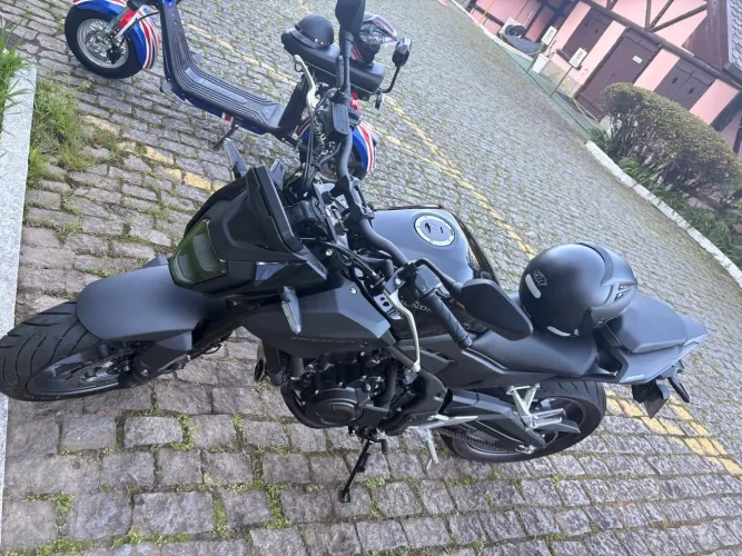 Hornet 500
