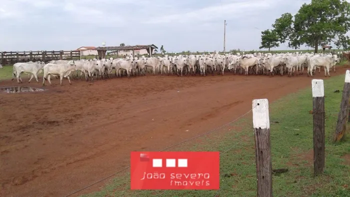 Fazenda para Venda em Sandolândia