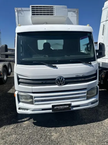 VW 9.170 Delivery 2019 Frigorifico