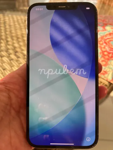 iPhone 12 Pro Max 256