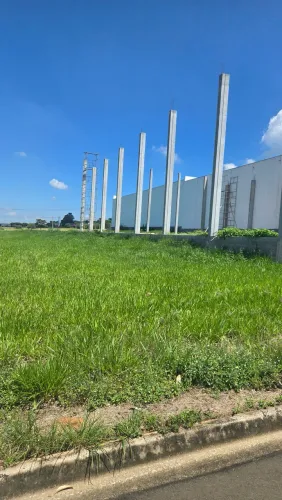 LINDO TERRENO INDUSTRIAL 