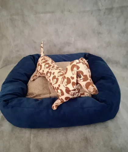 Caminha Pet ?
