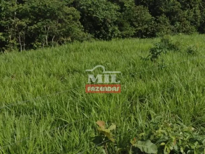 Fazenda Plana em Niquelândia-GO. (108 Alqueires)