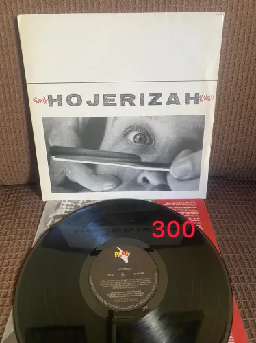 Lp disco de vinil Hojerizah