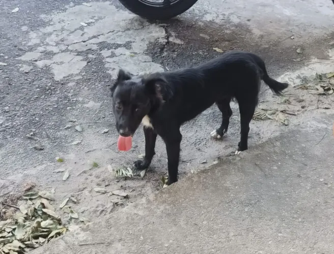 Doação 