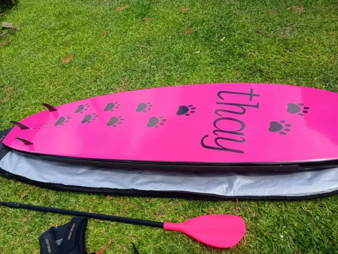 Stand up paddle
