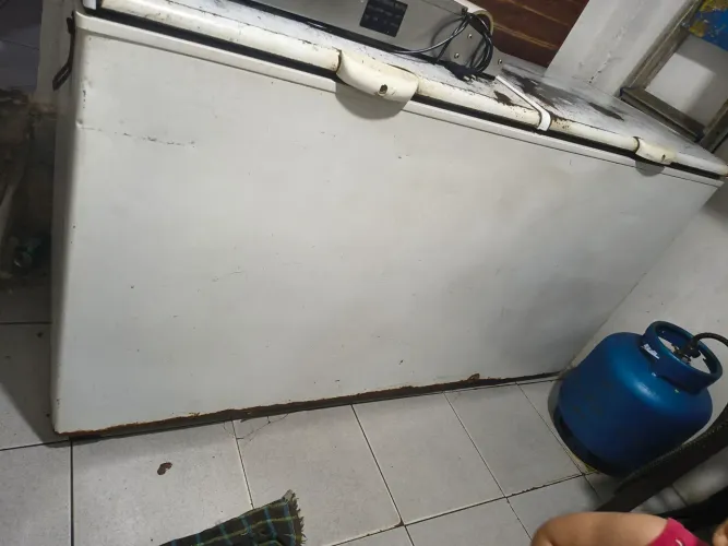 Frizzrer horizontal duas tampas