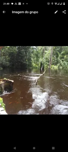 Lote para sítio na BR 174 km 21 do Pau Rosa no Tarumã Mirim, 100 de frente por 200de fundo