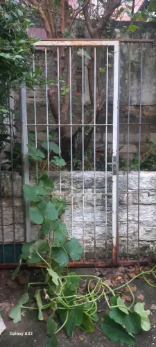 Piscina 10mil L. /Porta grade de ferro