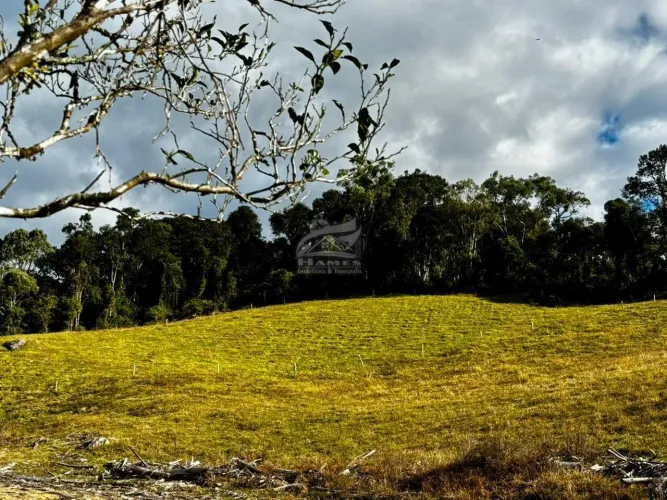 Terreno Rural para Venda em Angelina, MATO GROSSO