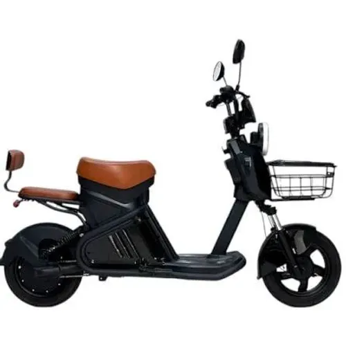 Moto Eletrica WD2 1000w