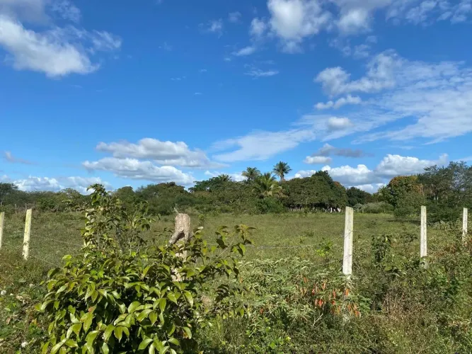 Terreno 2.177 m² na Estrada do Pau Seco | Venda Urgente