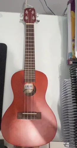 Ukulele giannini UKS 23 acompanhado da capa