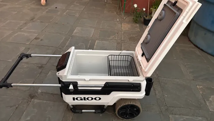 Cooler igloo