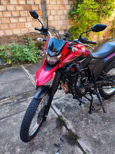 Vendo Lander 2023