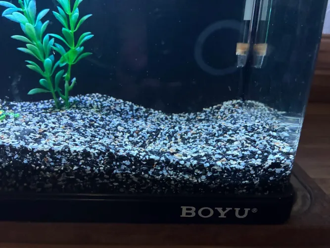 Aquário Boyu - 20L