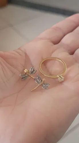 Anel e brinco de ouro