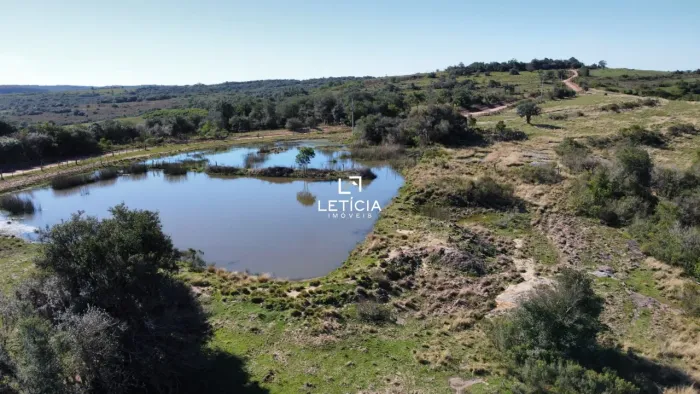 Campo de Pecuária