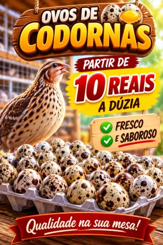Ovos de codornas