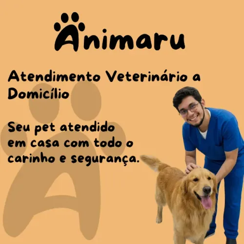 Animaru | Veterinário em Casa - Consulta, Vacinas e Exames em Manaus