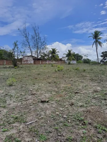 Excelente fazenda com 150 hectares na região de são Gonçalo do amarante