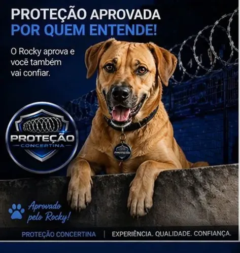 Proteja sua casa hoje | Concertina no RJ