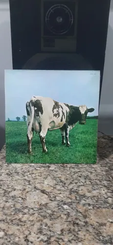 Vinil Pink Floyd