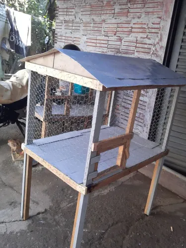 PRA VEND HOJE VIVERO NOVO BOM PRA CRIAR CALOPISITAS E OUTROS ANIMAIS NAO ENTREGO