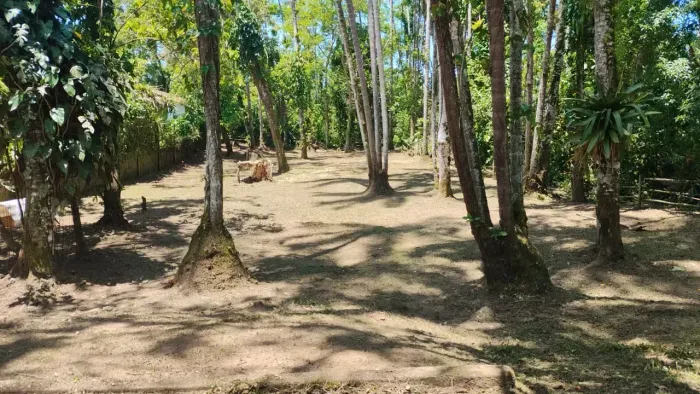 Lote/Terreno para venda com 584 metros quadrados em Barra da Lagoa - Ubatuba - São Paulo