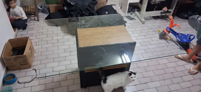 Mesa de jantar