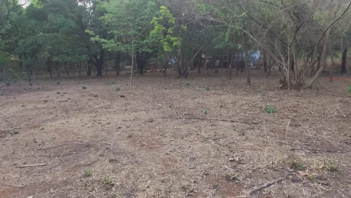 Vendo lotes área rural de Prudente de Morais MG 