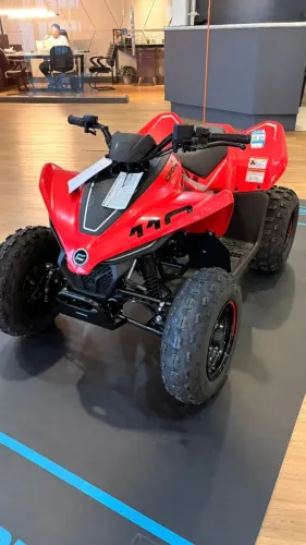 Quadriciclo infantil Cforce 110 lv