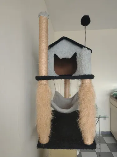 Casa Gato